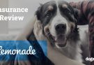 Lemonade Pet Insurance Review 2024: Pros, Cons & Verdict